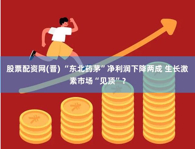 股票配资网(晋) “东北药茅”净利润下降两成 生长激素市场“见顶”？