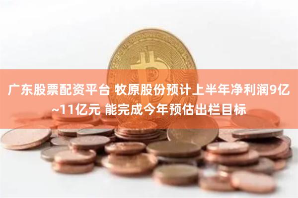 广东股票配资平台 牧原股份预计上半年净利润9亿~11亿元 能完成今年预估出栏目标