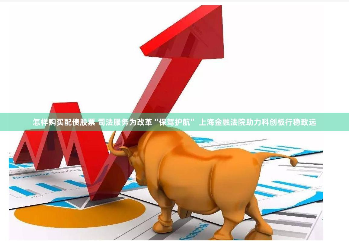 怎样购买配债股票 司法服务为改革“保驾护航” 上海金融法院助力科创板行稳致远