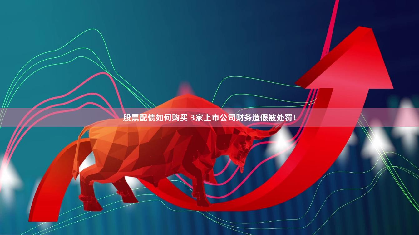股票配债如何购买 3家上市公司财务造假被处罚！
