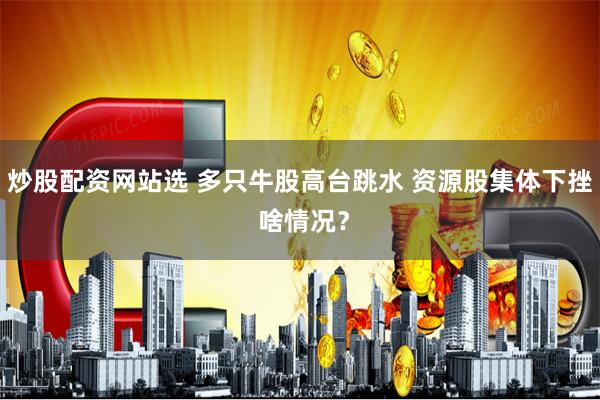炒股配资网站选 多只牛股高台跳水 资源股集体下挫 啥情况？