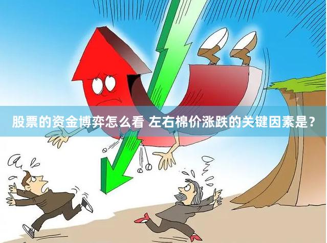 股票的资金博弈怎么看 左右棉价涨跌的关键因素是？